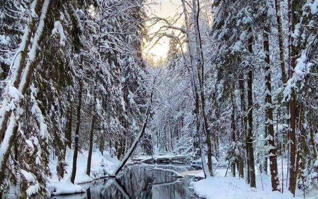 Частный Дом Коттедж 250м² у Реки