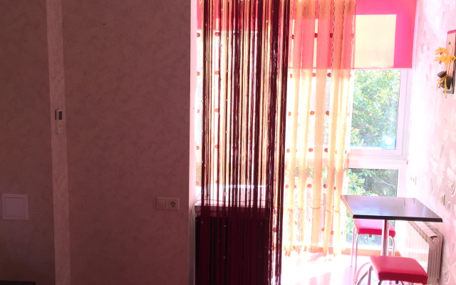 Studiya s vidom na sad Apartments
