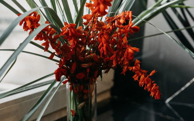 Квартира Дизайнерская в центре