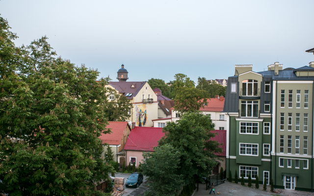 Liikehomezelenogradsk Apartments
