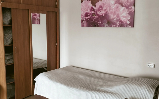 V Tsentre Goroda Flat