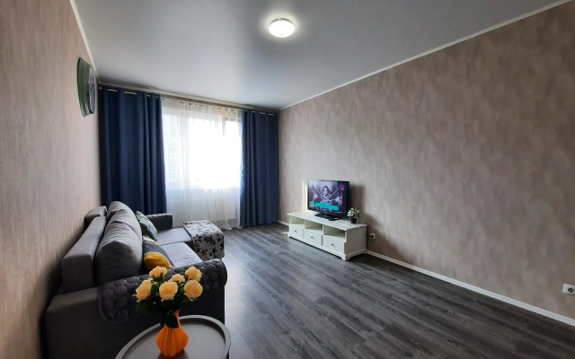 The Loft Dvukhkomnatnye Na Yubileynom Pr 66 Apartments