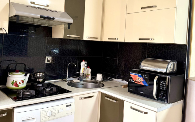 V Tsentre Baku Flat