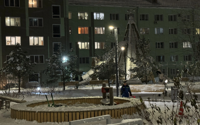 Квартира Студия с камином у парка