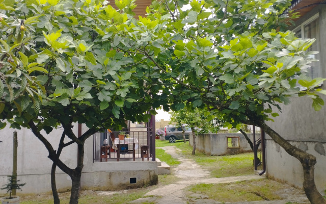 Abaza Guest House