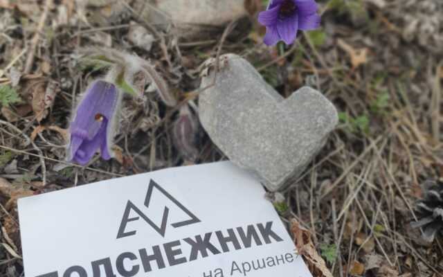 Мини-отель Подснежник