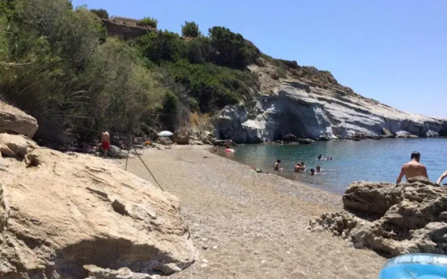 Elena’s Beach Garden