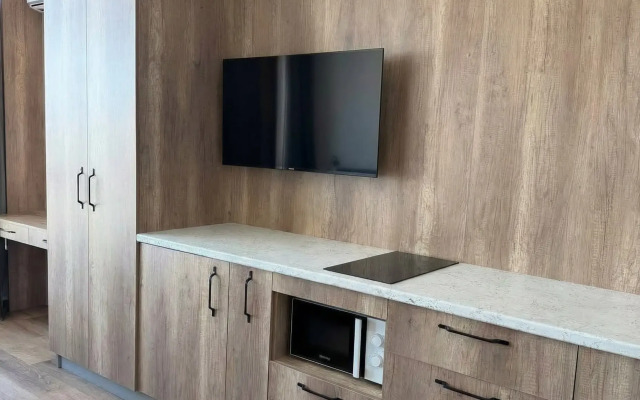 Апартаменты Большевистская