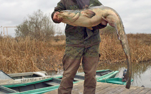 Гостевой дом Маяк