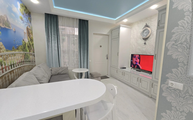 Anita v tsentre Sochi Apartments 8