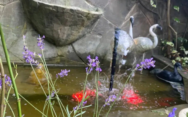 Gavan-Adler living quarters