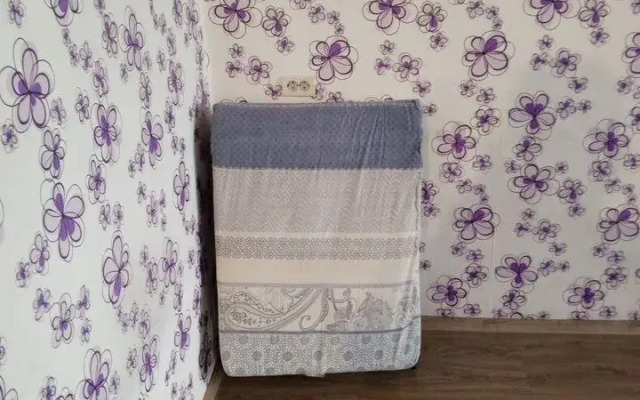 Na Ul. Uritskogo, 19a Flat