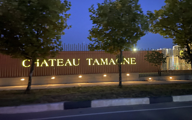Dom v Tsentre Tamani Private house
