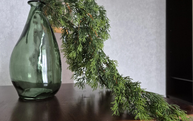 Квартира Альпы