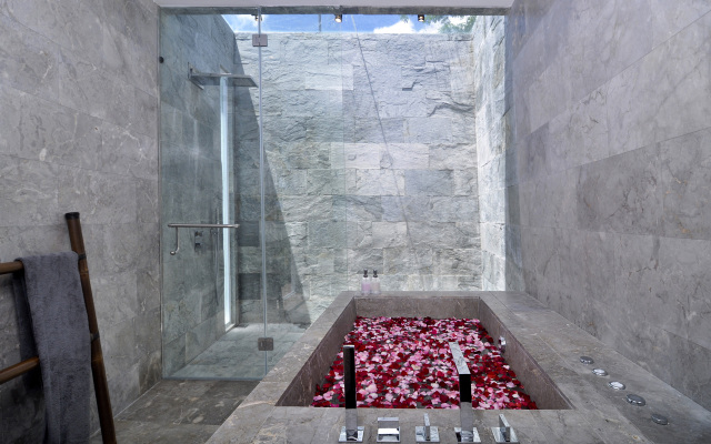 Villa Ashoka Canggu