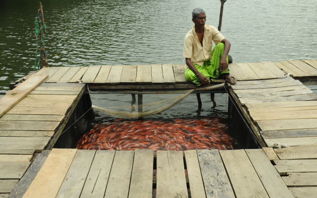 South Lake Resort - Koggala Hotel