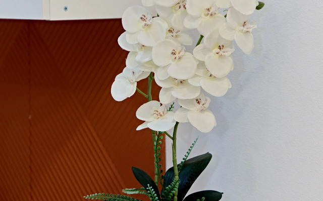 Апартаменты Old Town в центре Санкт-Петербурга