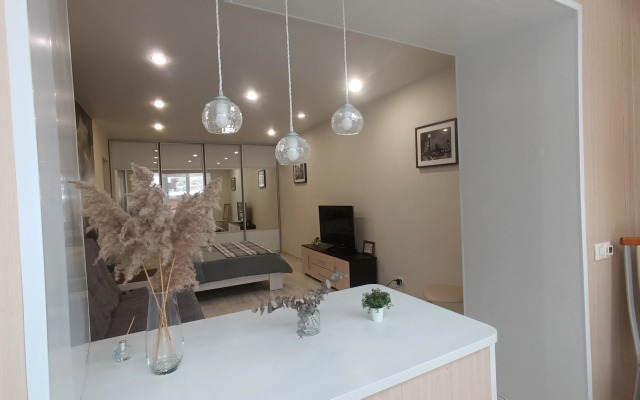 Квартира Тихий Центр