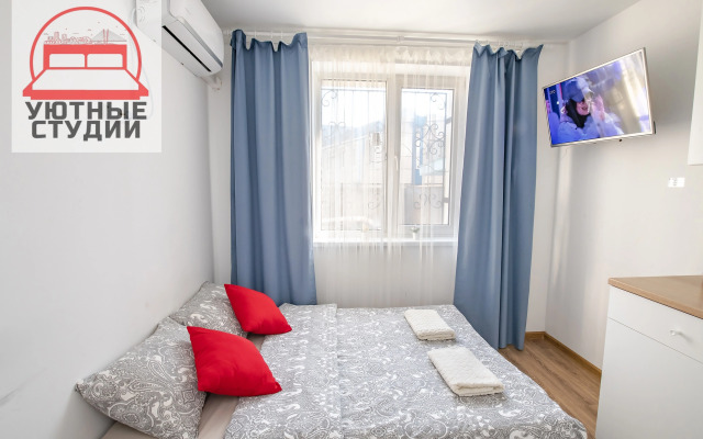 Квартира-студия 1 на Некрасовской