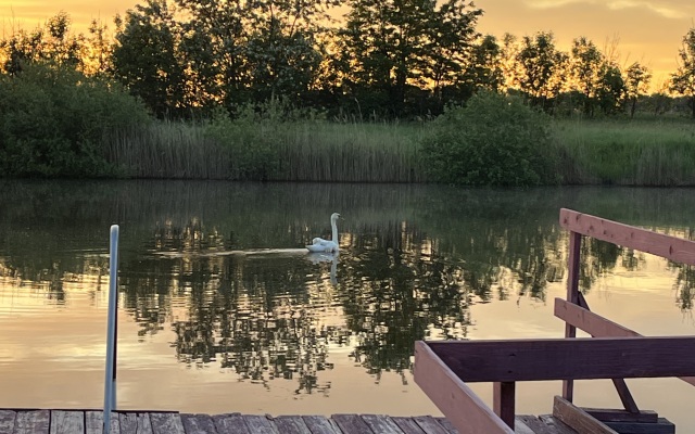 База отдыха Золотой сазан