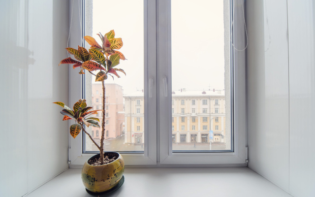 V Tsentre Ryadom S Dinamo I Tts Stolitsa Apartments