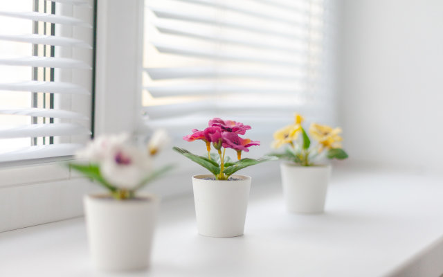 Апартаменты Бизнес в Крутые Ключи