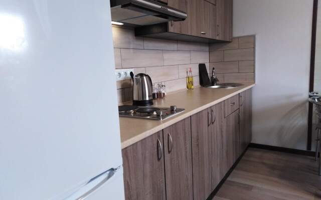 Апартаменты Olzhicha XXV