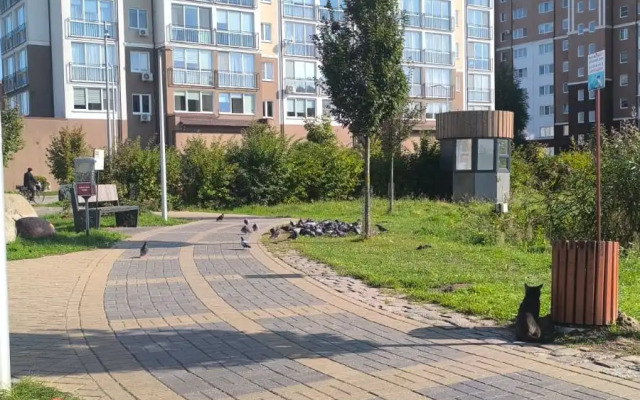 Квартира Балтийский Стиль