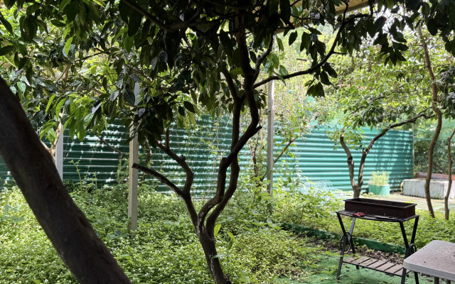 Kalina Gagra Mini hotel