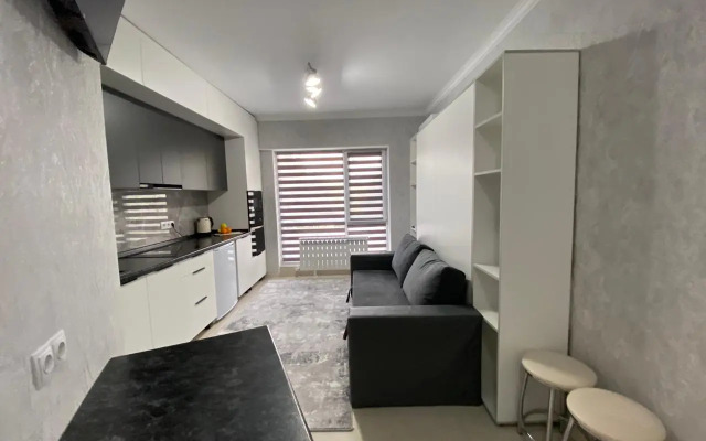 Best House Almaty Flat