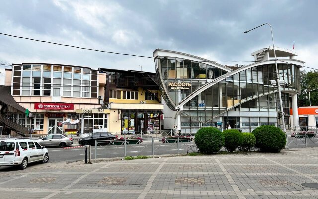 Отель Викинг