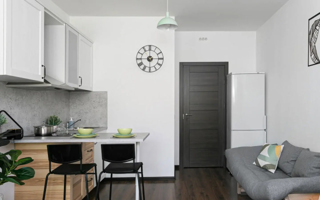 Studiya Na Lomonosovskoy Flat