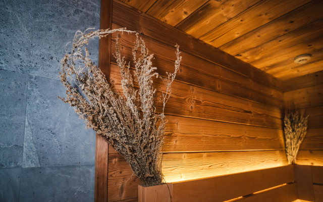 Mercure Hotel and Residences Saint Petersburg Hotel