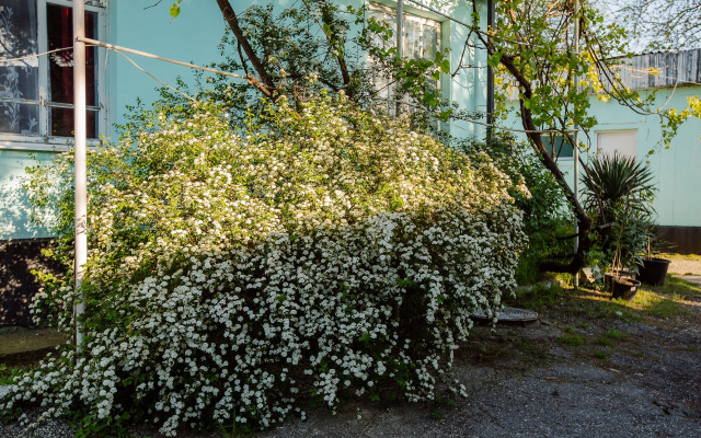 Guest house Usadyba