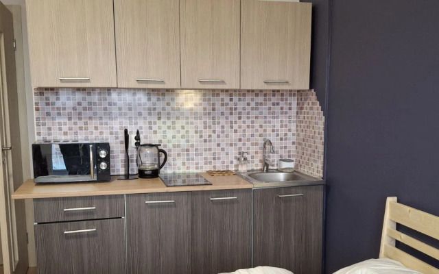 Квартира студия с видом на мост