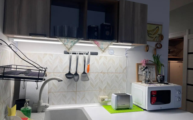 Квартира с видом на мост и реку Обь