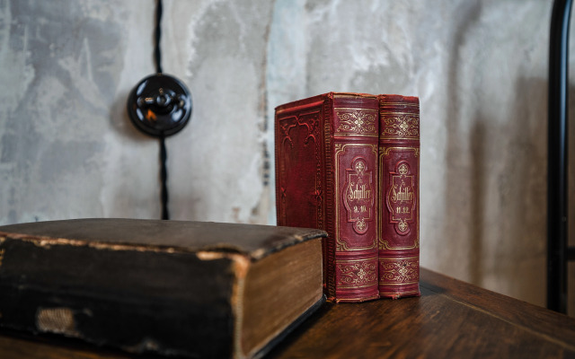 Квартира Видовая на Невском