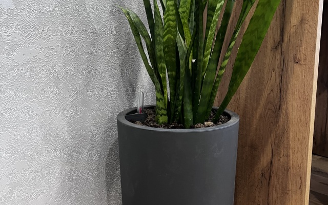 Апартаменты Уютные на Южной