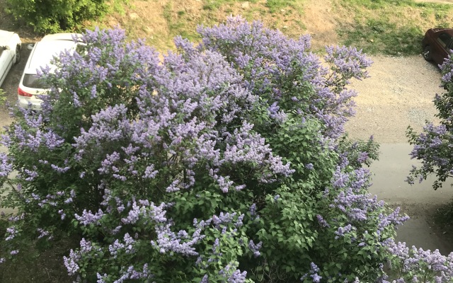 Апартаменты Добрые сутки в центре