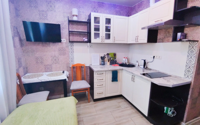 Svetlaya studiya ryadom s zh/d stantsiey Zvenigorod Flat