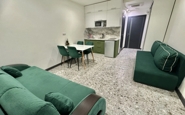 Studiya V Tsente Kurorta Apartment