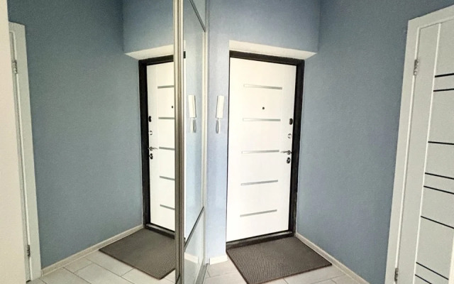 Квартира Просторная однокомнатная квартира