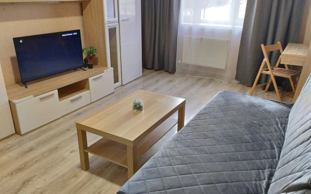 Квартира с Видом на Стадион