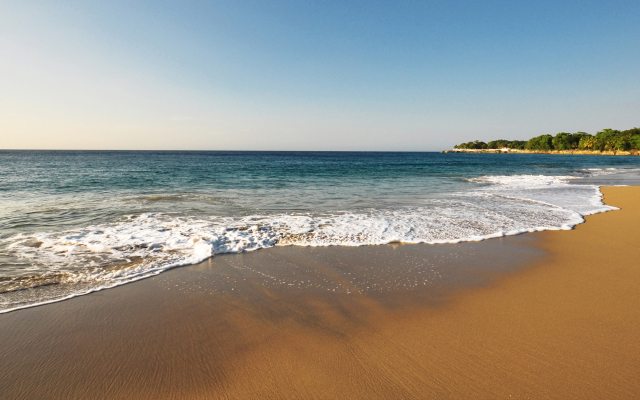 The Palm Beach Luxury Condo Apart-Hotel