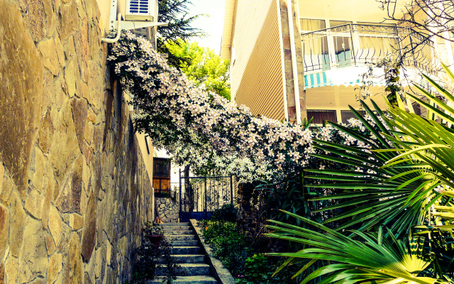 Renessance Villa