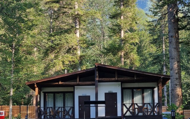 Dacha Apartments