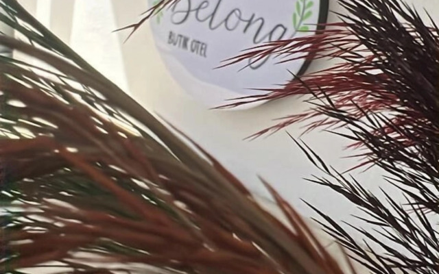 Belong Butik Hotel