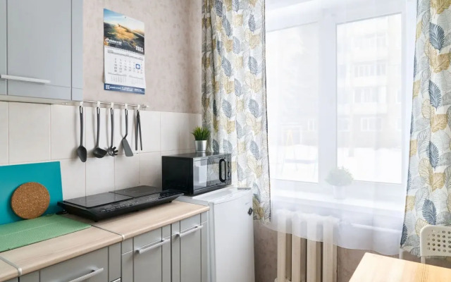 Odnokomnatnyye Vozdushnaya gavan 2 Apartments