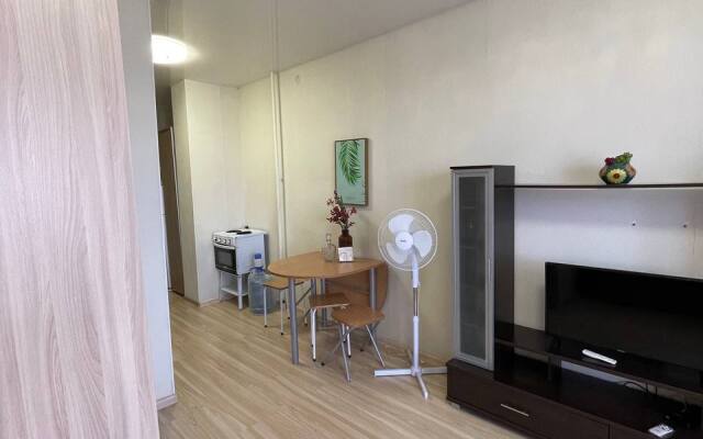 Studiya ryadom so Stolichnym rynkom g. Yakutska Flat