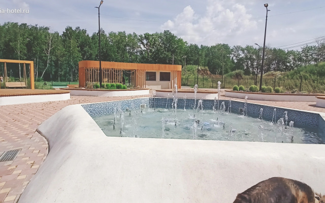 Квартира Гостевые квартиры Алеся с видом на лес и пруд